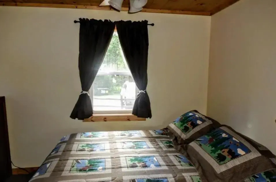 Knotty Pine- White Pine — фото 5