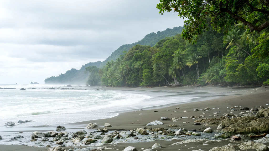 Beach & Waterfront
