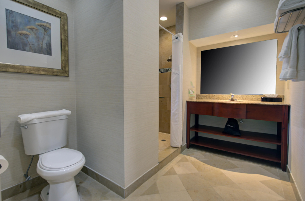 Holiday Inn Plainview-Long Island by IHG - Général
