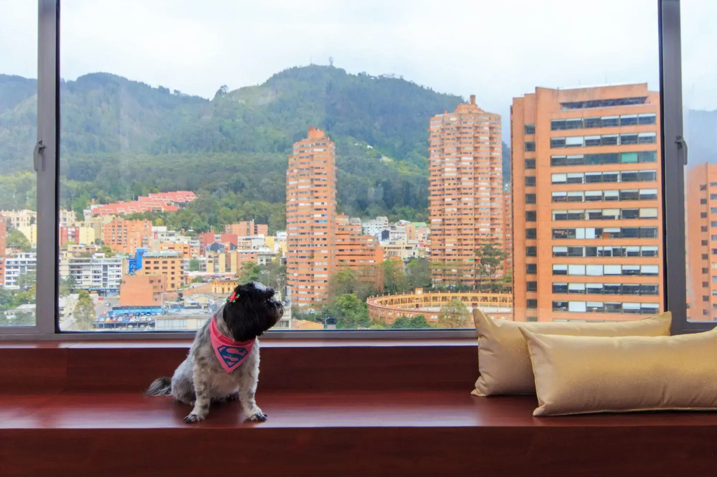 Balcony & Terrace