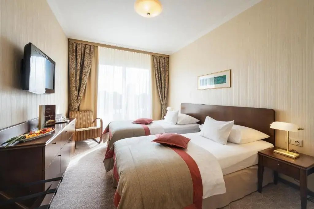 Standard Double room with river view (full double bed)