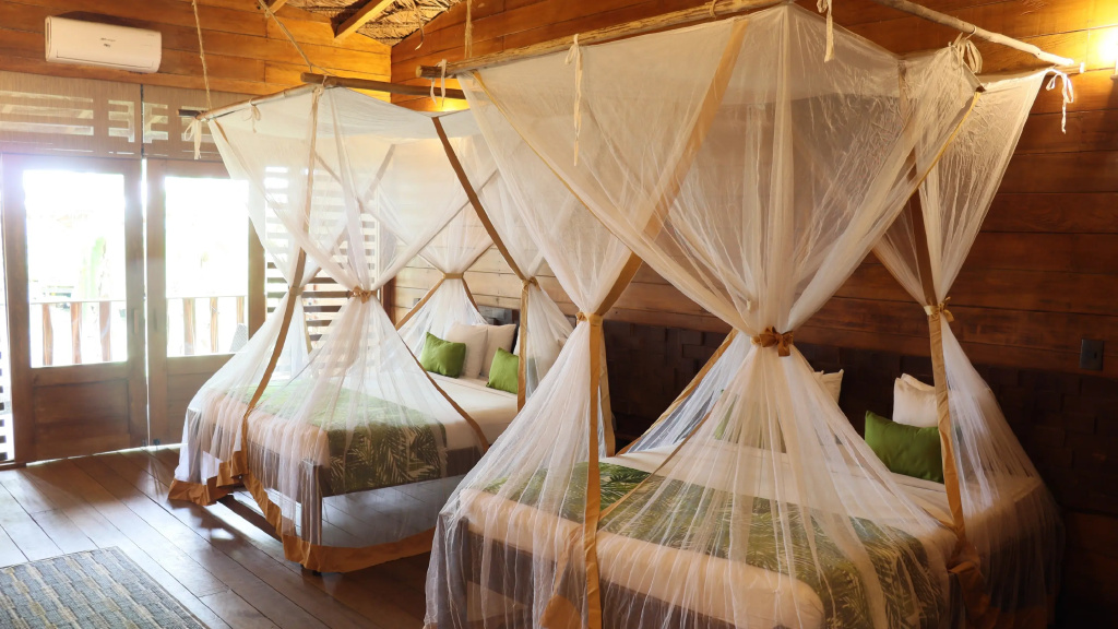 Hotel Amazon by On Vacation