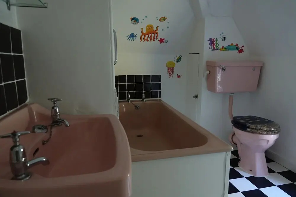 Image 7