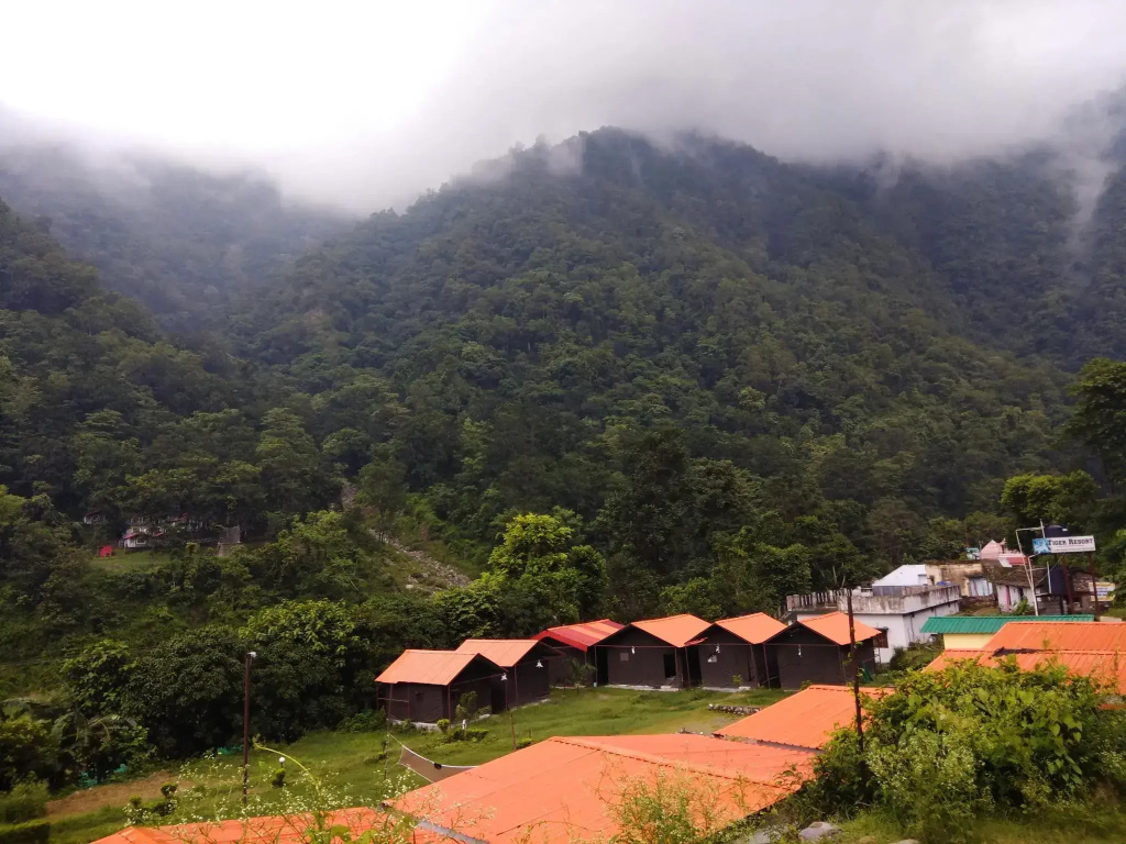 Tiger Resort