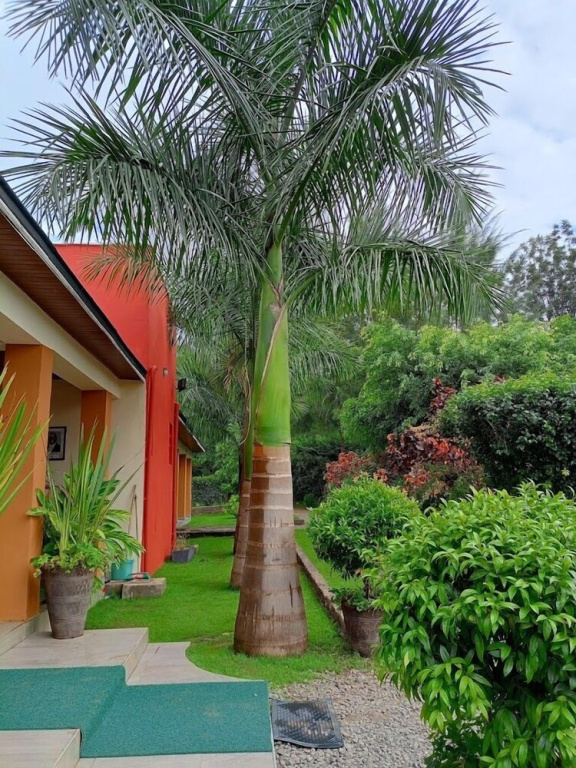Hotel photo 44