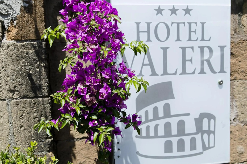 Hotel Valeri by null