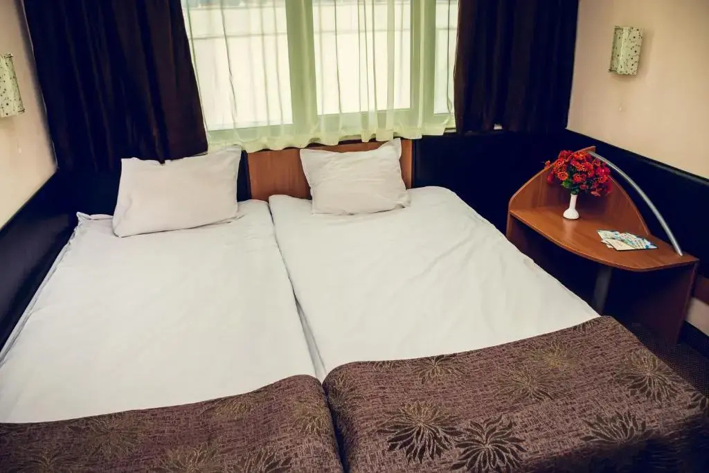 Zdravets Hotel Wellness & SPA - Chambres