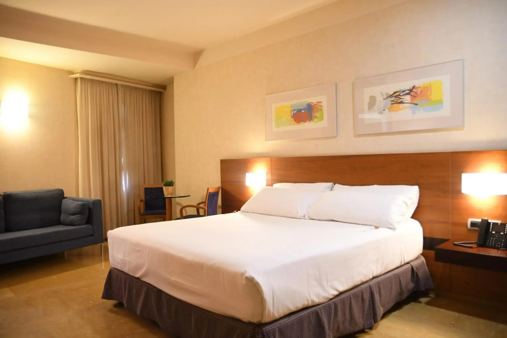 Sercotel Palacio de Tudemir - Général