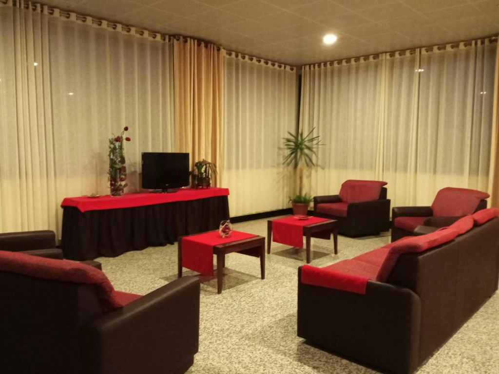 Palace Hotel & Spa Monte Rio - Général