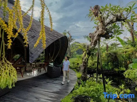 E Sanctuary Resort Ubud