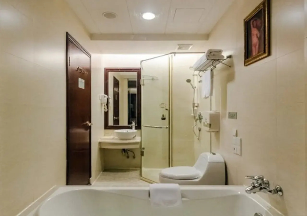 Vienna International Hotel Shenzhen North Station Branch - Général