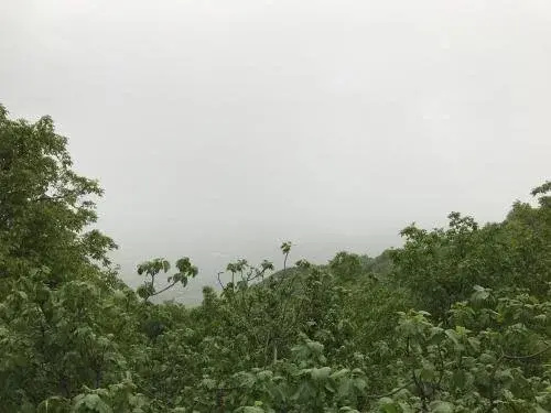 Tyupebi Guest House
