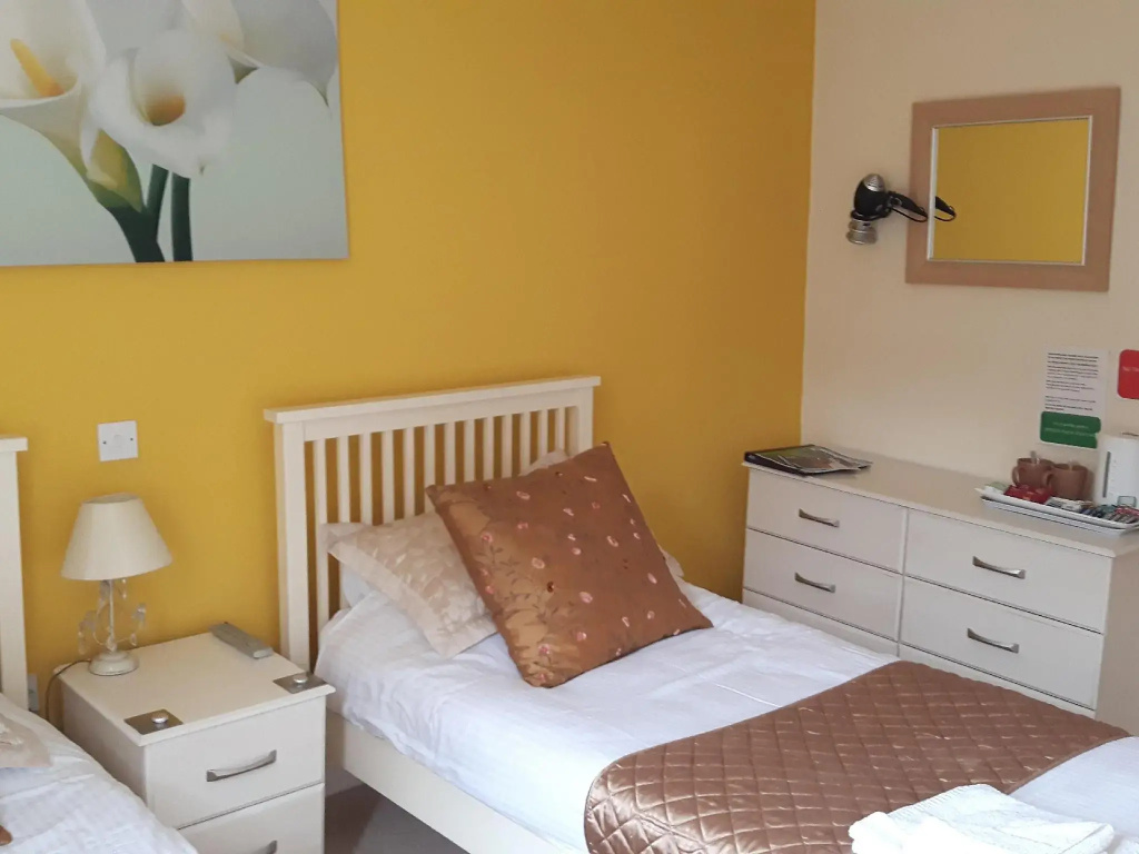 Standard Double room (twin beds)