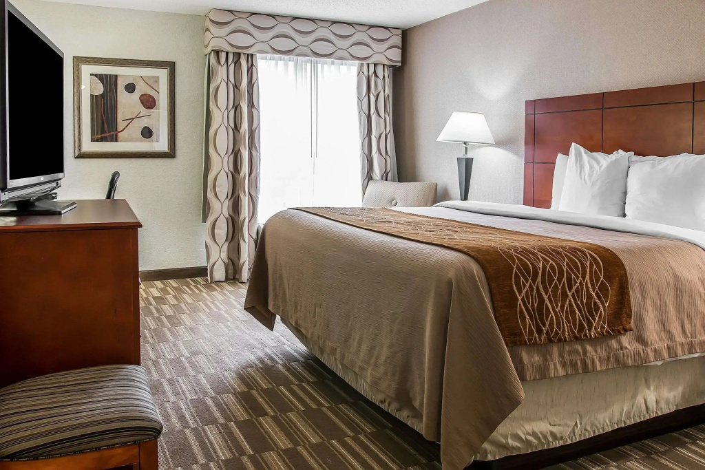 Spark by Hilton Ann Arbor South - Général