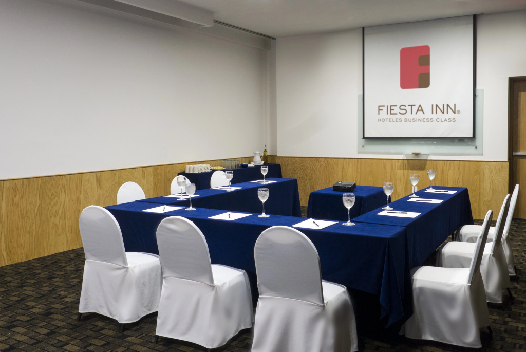 Fiesta Inn Leon - Général