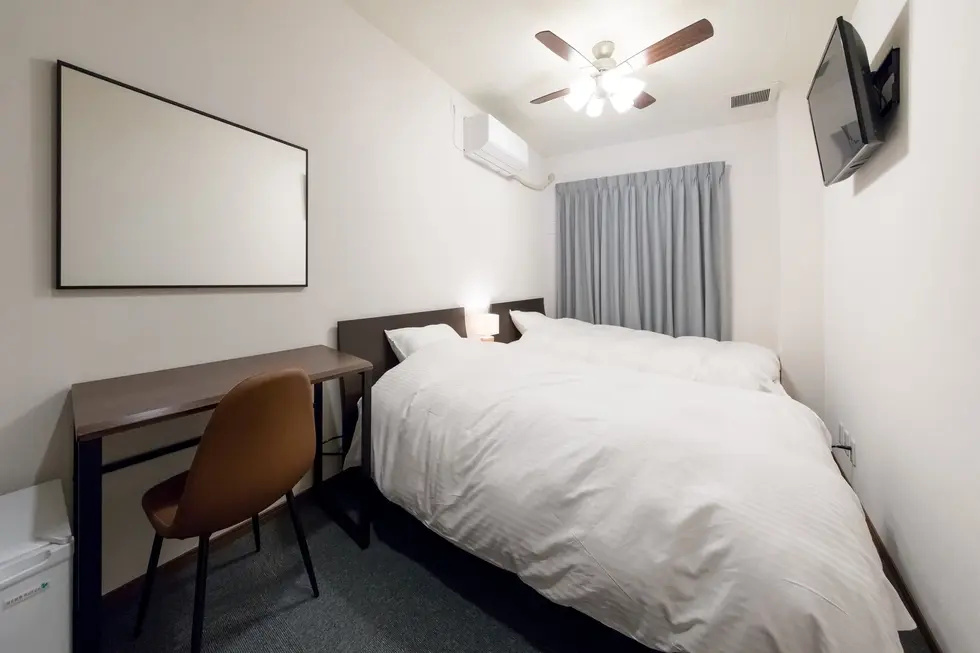 Standard Double room (twin beds)