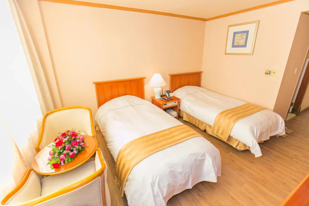 Standard Double room (twin beds)