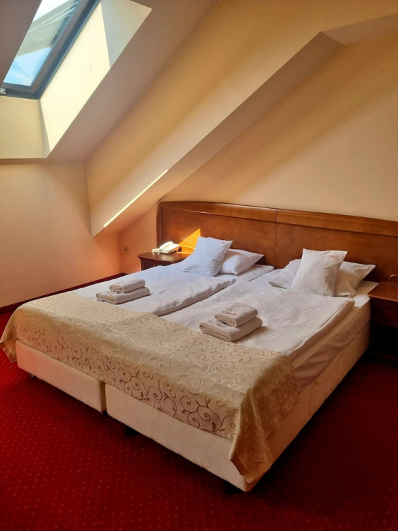Hotel Rytwiany Nowy Dworek - Chambres