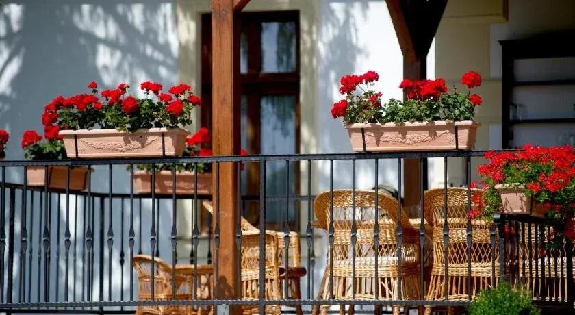 Balcony & Terrace
