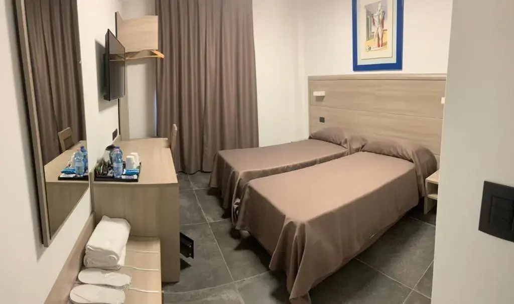 Standard Double room (twin beds)