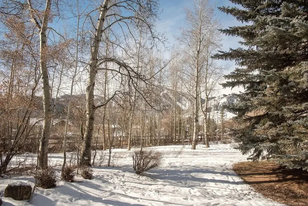 Cottonwood Condominium 1473 1 Bedroom 1 Bathroom Home