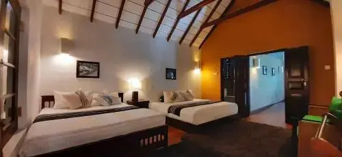 Oasis Bungalow - Nuwara Eliya - Général