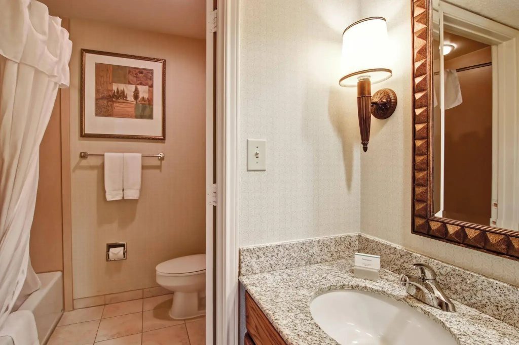 Homewood Suites by Hilton Dallas-Irving-Las Colinas - Général