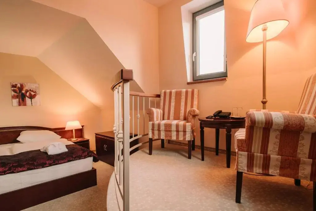 Standard Double room (full double bed)