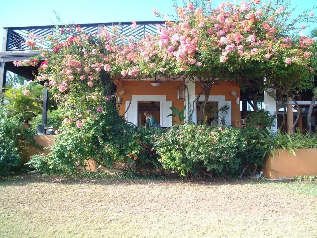 Blue Horizon Boutique Resort - Adults Only - Chambres
