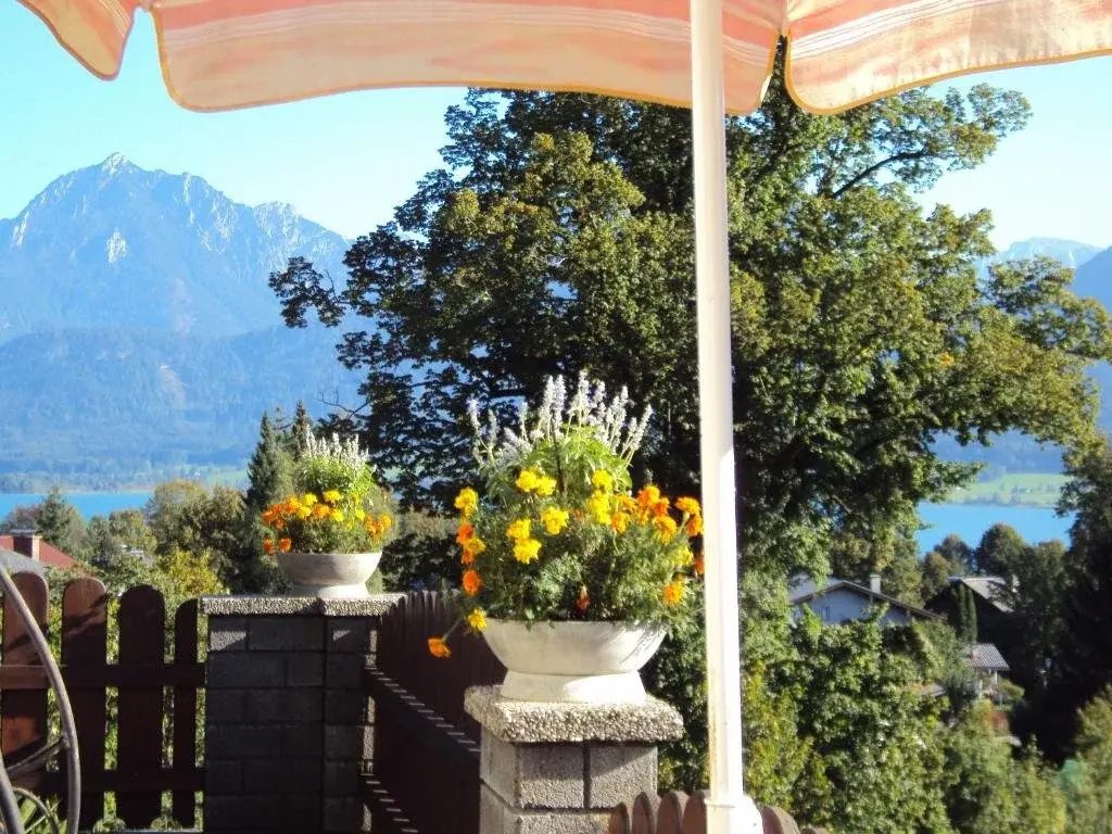 Balcony & Terrace