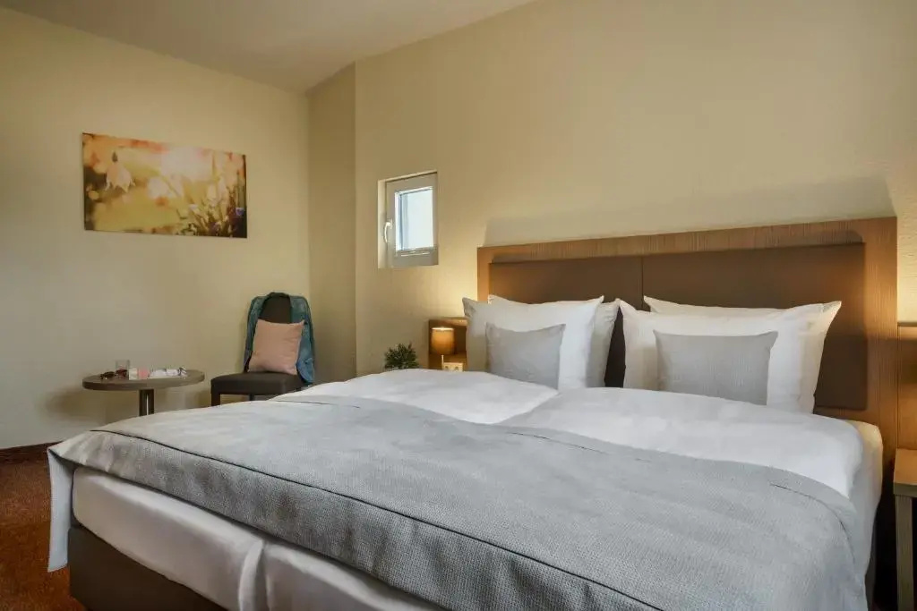 Comfort Double room (full double bed)