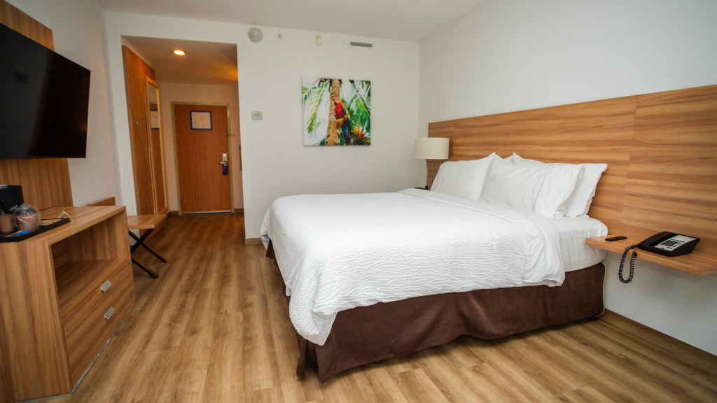 Holiday Inn Express Managua by IHG - Général