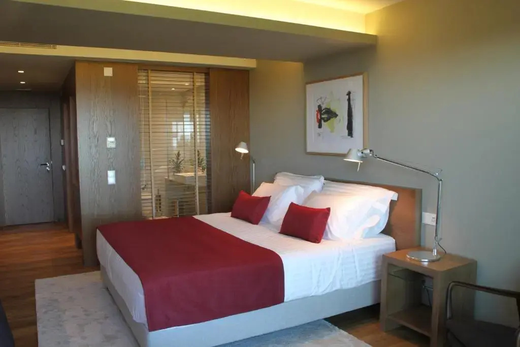Standard Double room with sea view (full double bed)