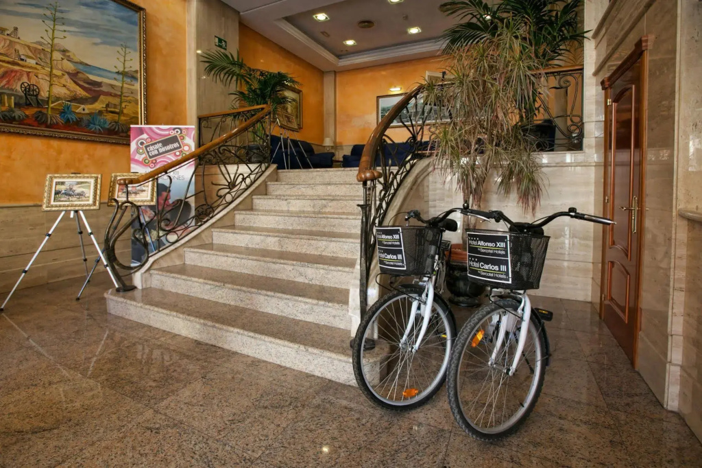 Hotel Sercotel Alfonso XIII - Général