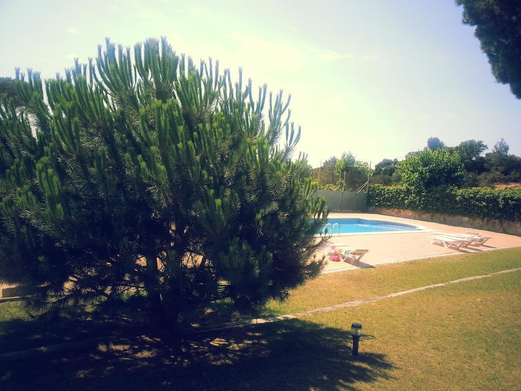 Hostal Los Pinares by null