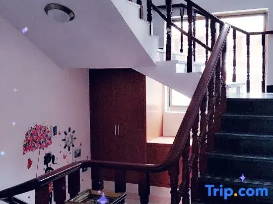 Balcony & Terrace