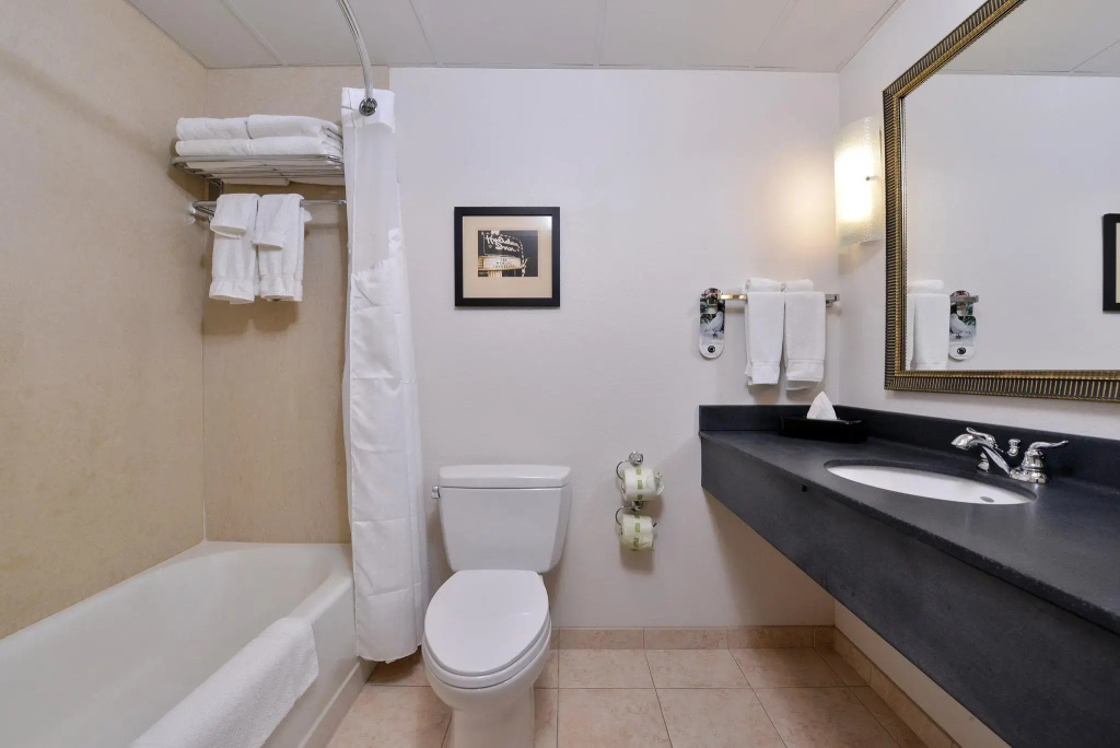 Holiday Inn Madison at The American Center by IHG - Chambres