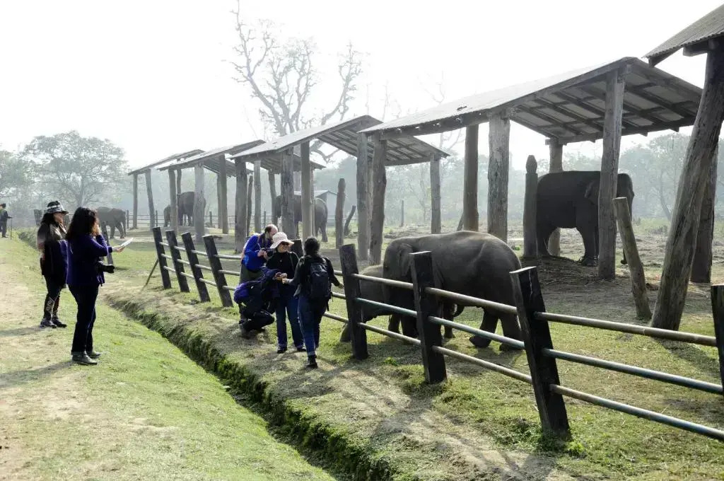 Green Park Chitwan - фото 21