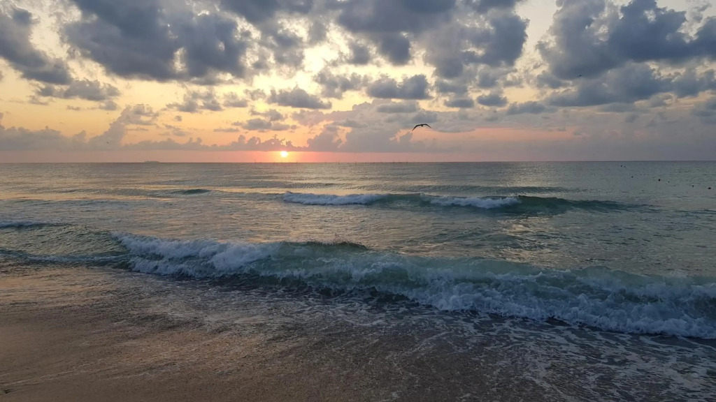 House Of Wax - фото 14