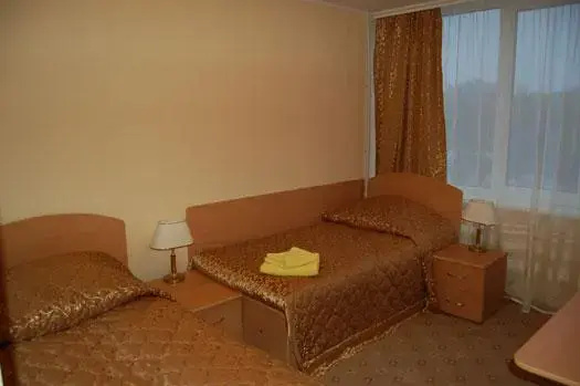 Standard Double room (twin beds)