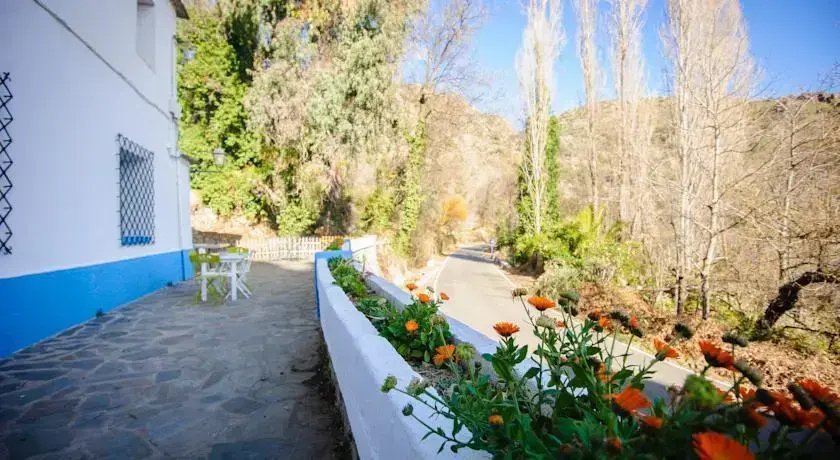 Casa Rural El Olivo