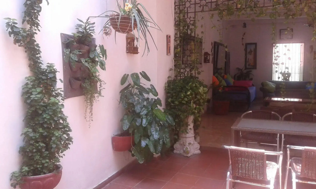 Hotel El Pedregal - Général