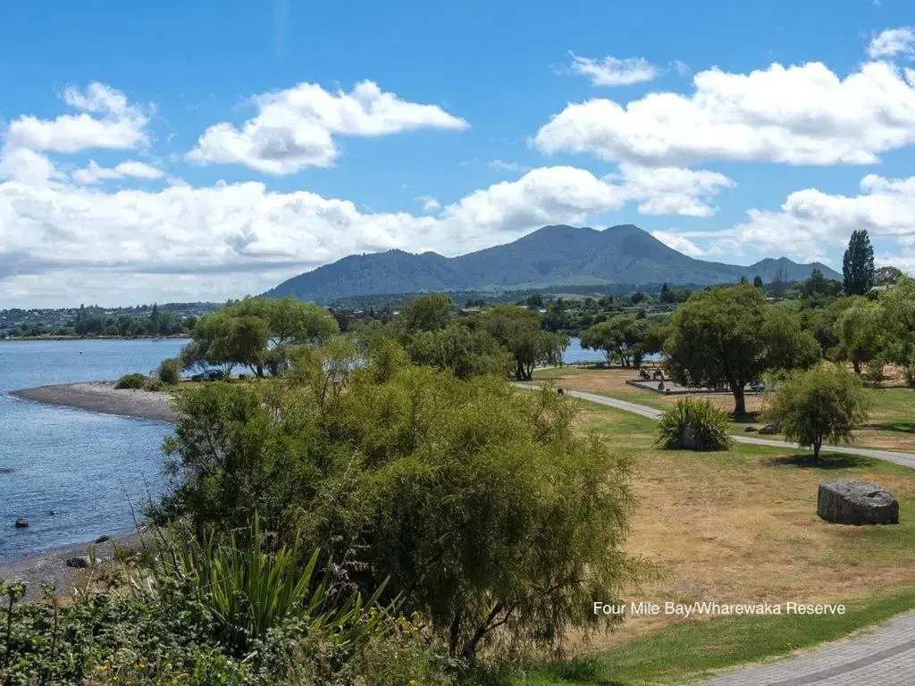 Stunner on Stanley - Wharewaka Holiday Home