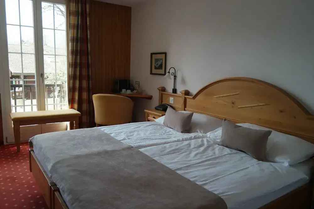 Economy Double room with mountain view (full double bed)