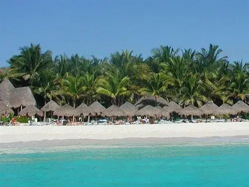 Las Palapas - Général