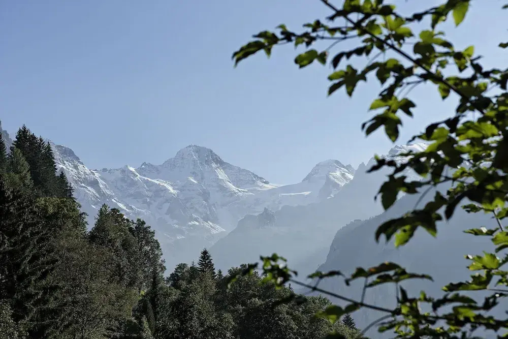 Hotel Alpenrose Wengen - Chambres