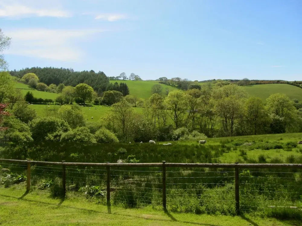 Brynarth Country Guest House