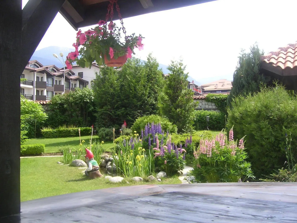 Hotel photo 12