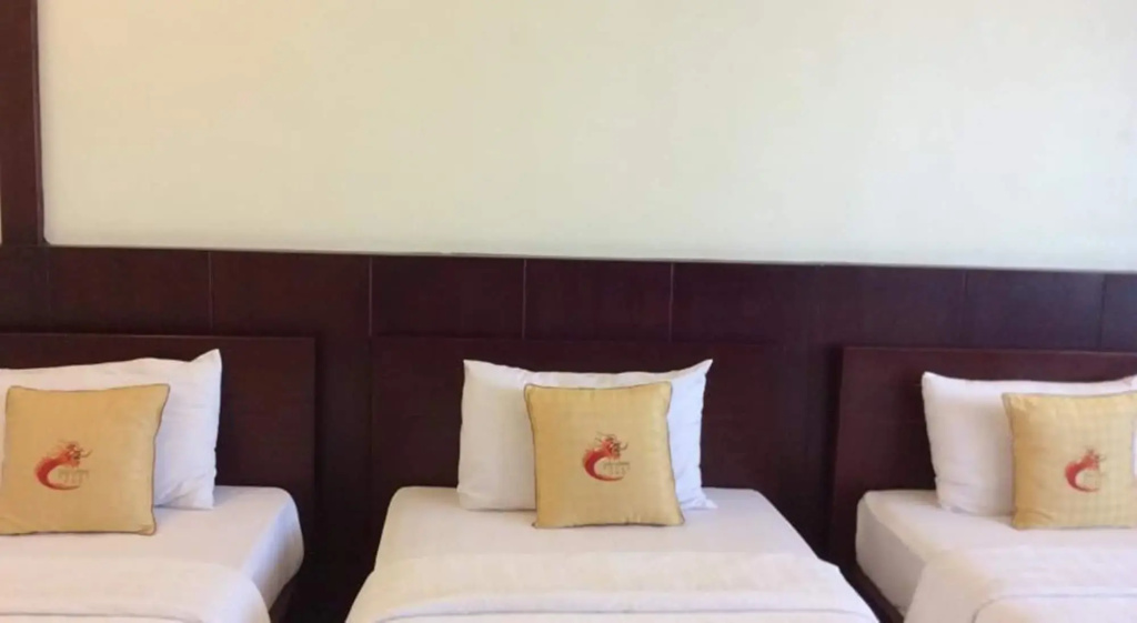 Cuu Long Hotel - Général