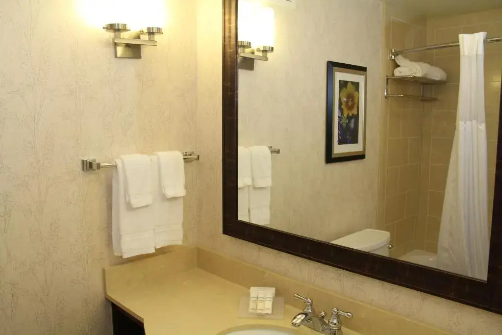 Hilton Garden Inn San Antonio At The Rim - Chambres
